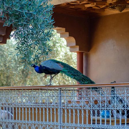 Ferme Sidi Safou & Spa Marrakesh Exterior photo